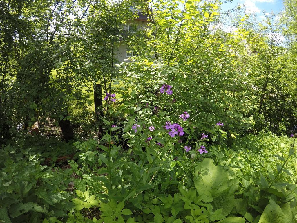 Willa Sunshine Zakopane Chalet Екстер'єр фото