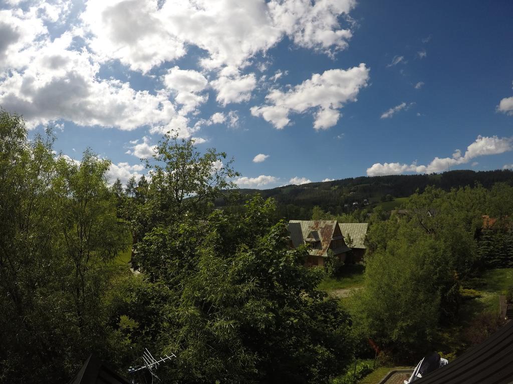 Willa Sunshine Zakopane Chalet Екстер'єр фото