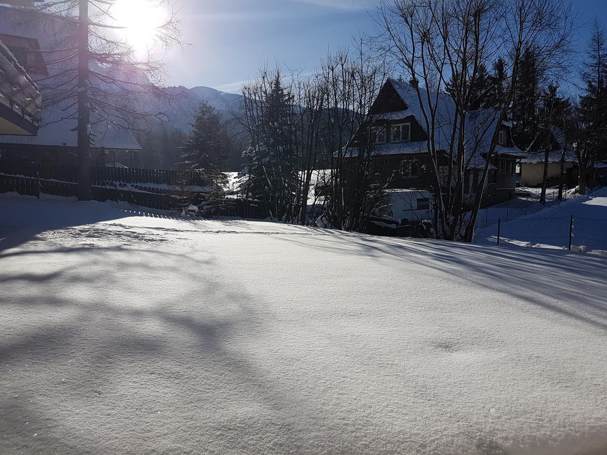Willa Sunshine Zakopane Chalet Екстер'єр фото