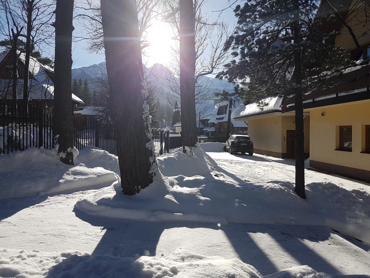 Willa Sunshine Zakopane Chalet Екстер'єр фото