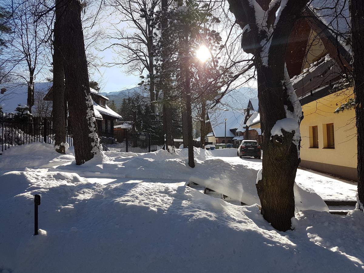 Willa Sunshine Zakopane Chalet Екстер'єр фото