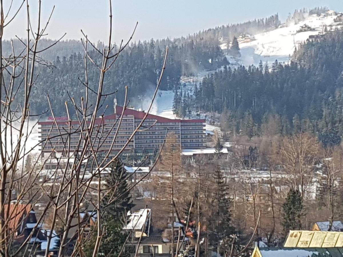 Willa Sunshine Zakopane Chalet Екстер'єр фото